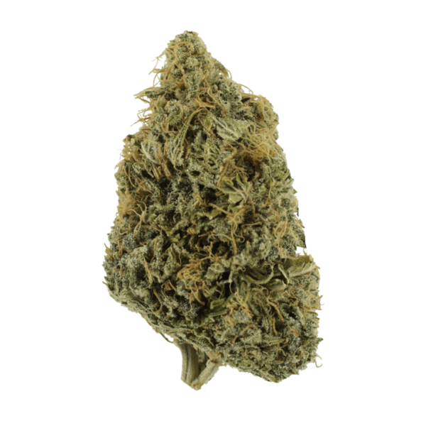 NYC Diesel | CannaBlossom Canada