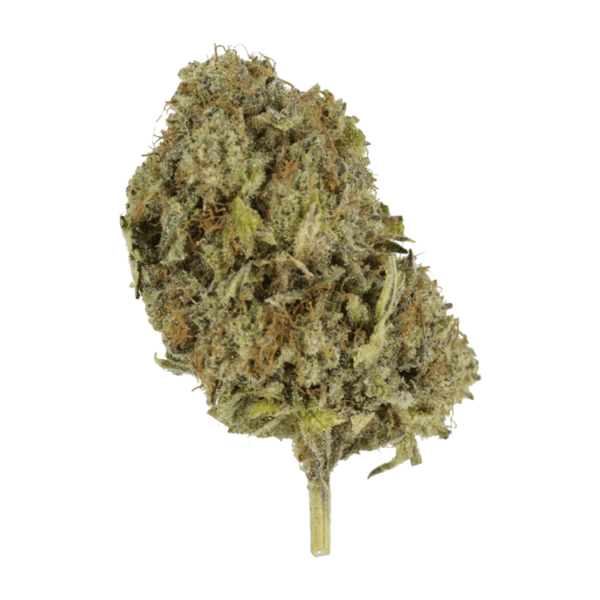 God’s Green Crack | CannaBlossom Canada