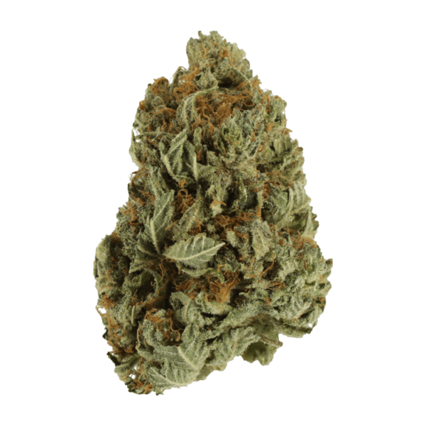 Ice Wreck – 1 ounce | CannaBlossom Canada
