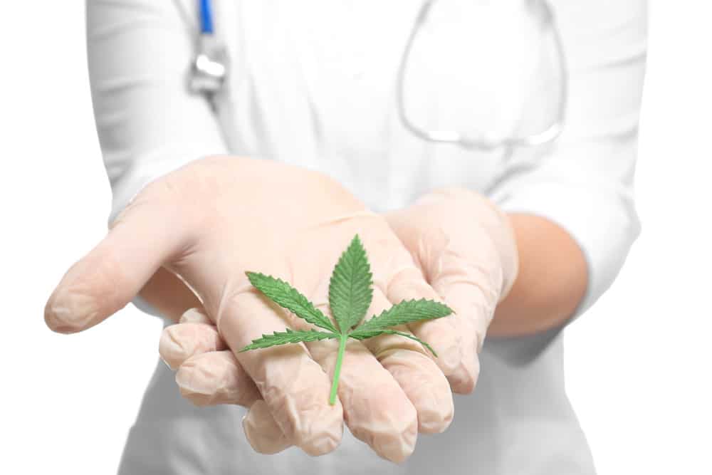 Cannabis as a natural cure for pain | CannaBlossom Canada