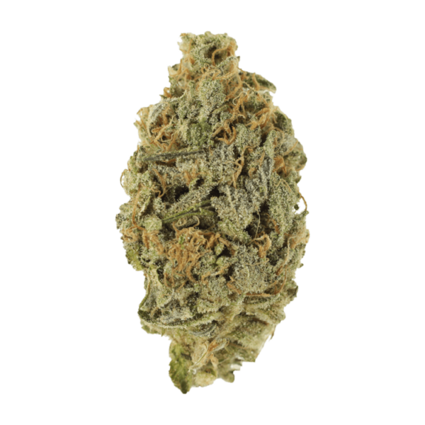 Lavender | CannaBlossom Canada