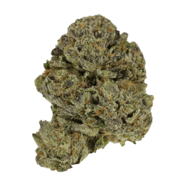 Lavender | CannaBlossom Canada