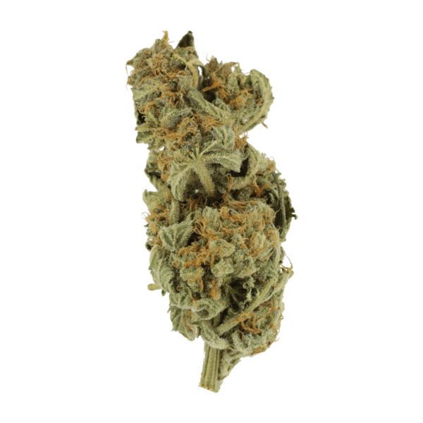 Gorilla Glue | CannaBlossom Canada