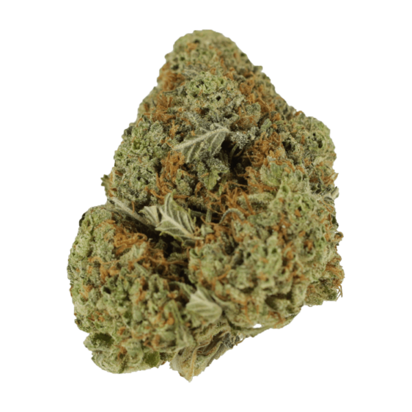 Mataro Blue – 1 ounce | CannaBlossom Canada