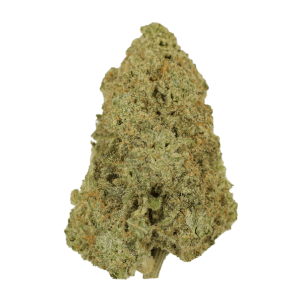 Super Silver Haze | CannaBlossom Canada