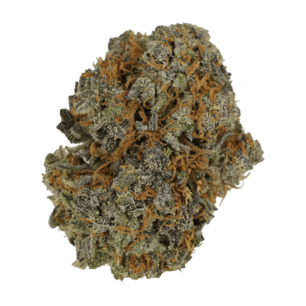 Jack Herer 1 Ounce | CannaBlossom Canada