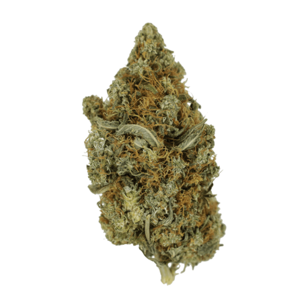 Jack Herer 1 Ounce | CannaBlossom Canada