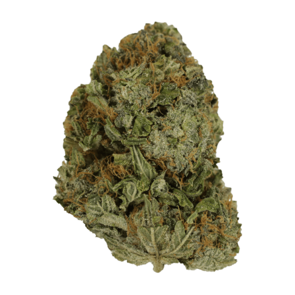 Blue Fire – 1 ounce | CannaBlossom Canada