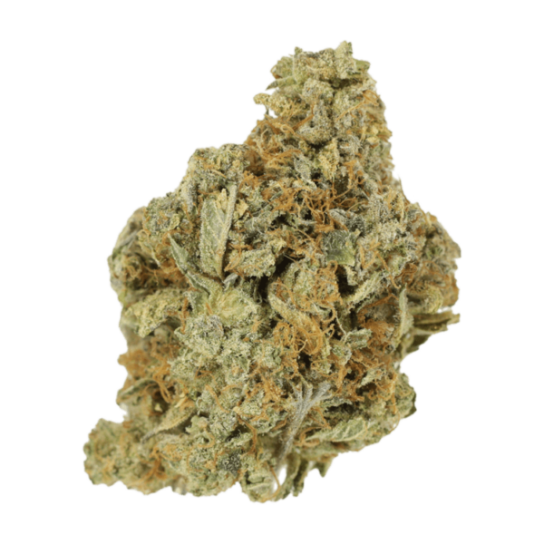 Jet Fuel | CannaBlossom Canada
