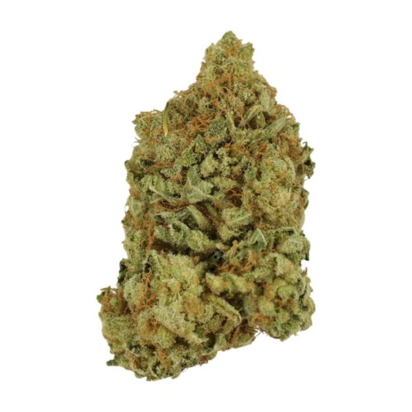 Blueberry | CannaBlossom Canada