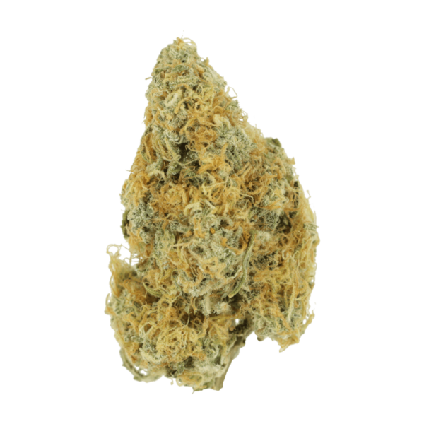 Alien OG (Popcorn) – 2OZ/$69 | CannaBlossom Canada