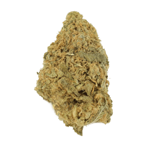 Zombie OG | CannaBlossom Canada
