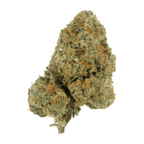 Blue Rhino | CannaBlossom Canada