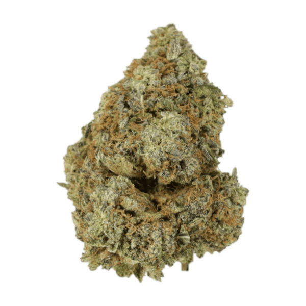 Granddaddy Purple | CannaBlossom Canada