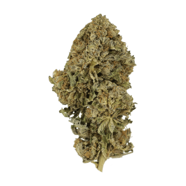 Durban Poison | CannaBlossom Canada