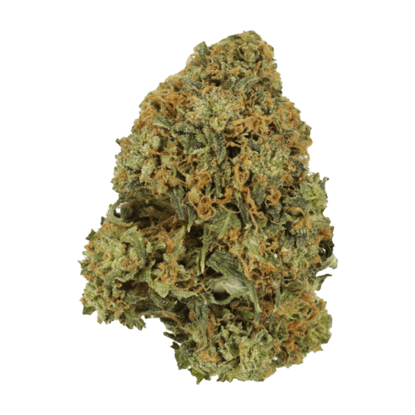 Durban Poison | CannaBlossom Canada