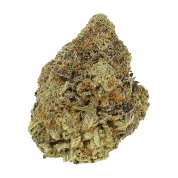 Durban Poison | CannaBlossom Canada