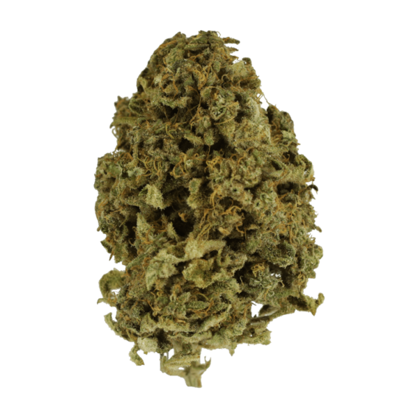 Nebula | CannaBlossom Canada