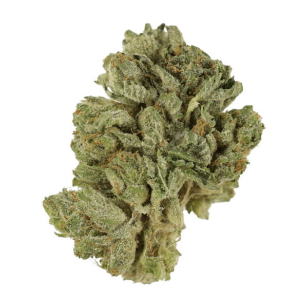 Northern Lights 2 for $69 | CannaBlossom Canada