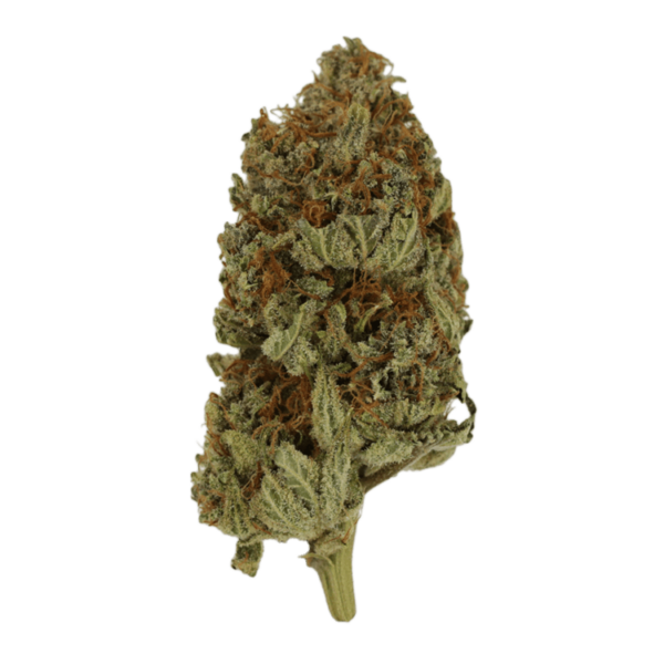 Congo | CannaBlossom Canada