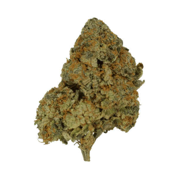 9lb Hammer | CannaBlossom Canada