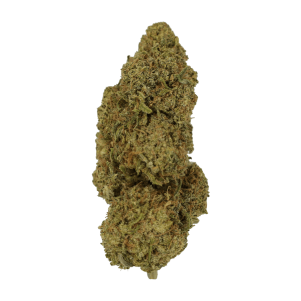 9lb Hammer | CannaBlossom Canada
