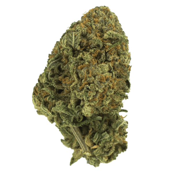 Black Nuken | CannaBlossom Canada