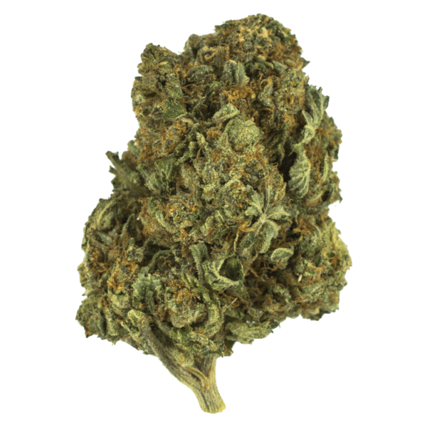 Berry White – 1 ounce | CannaBlossom Canada