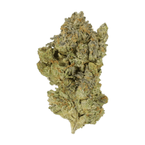 Golden Goat | CannaBlossom Canada