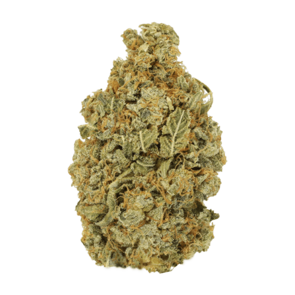 Maui Wowie | CannaBlossom Canada