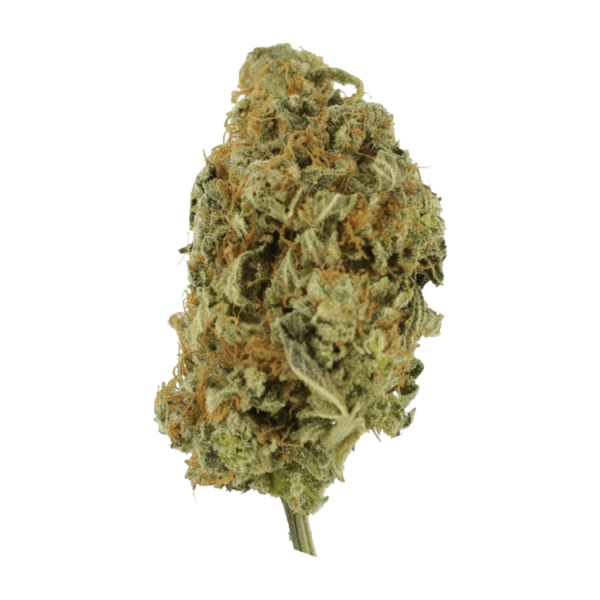 Lollypop – 1 ounce | CannaBlossom Canada