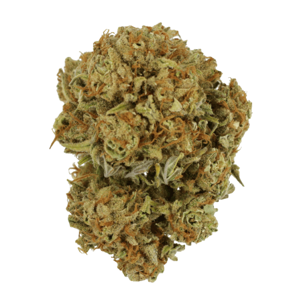 Maui Wowie | CannaBlossom Canada