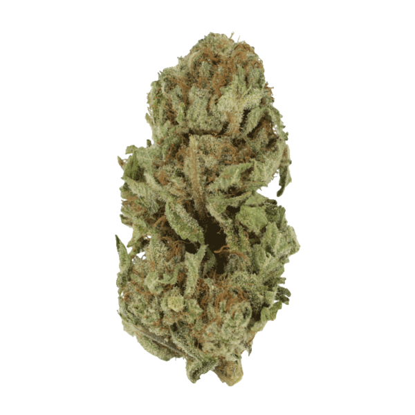 Golden Goat | CannaBlossom Canada