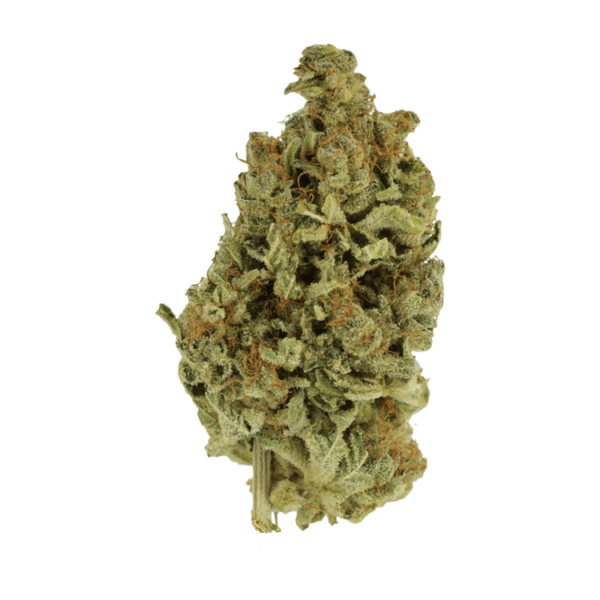 Cali Gold | CannaBlossom Canada