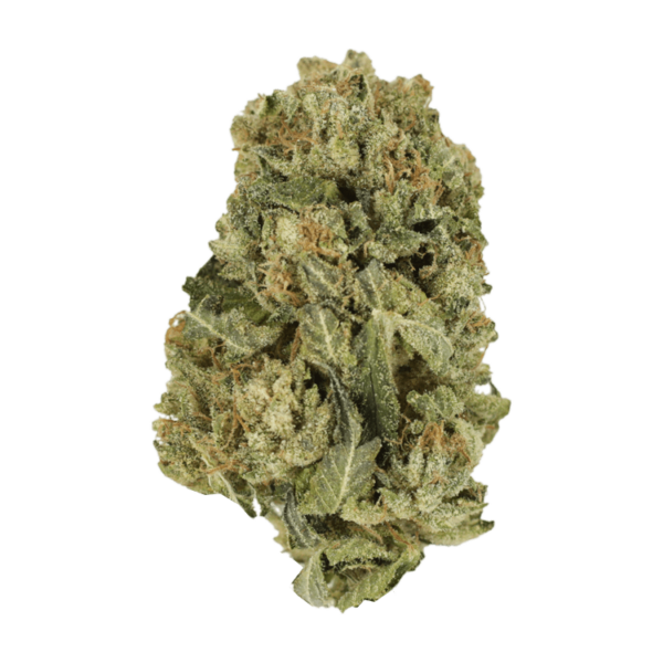 Black Domina | CannaBlossom Canada