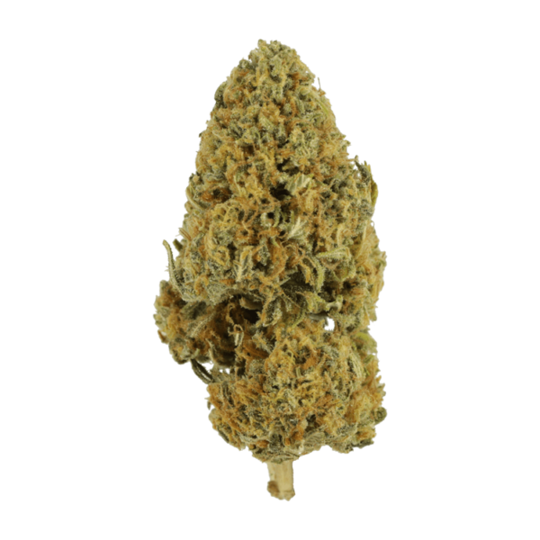 Grapefruit – 1 ounce | CannaBlossom Canada