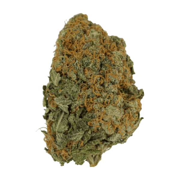 Master Kush Ultra | CannaBlossom Canada