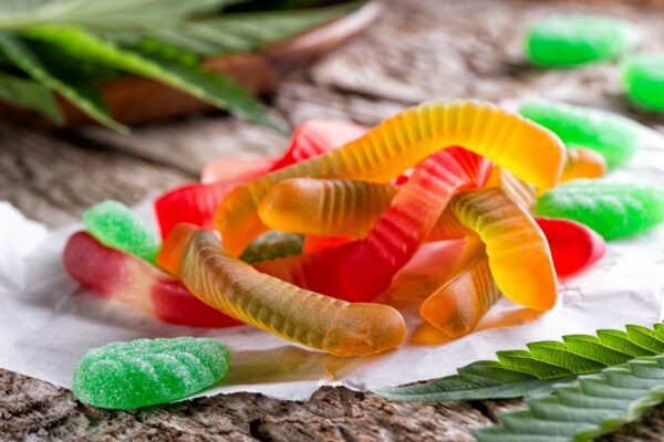 MOTA Edibles Bundles – SAVE 10% | CannaBlossom Canada