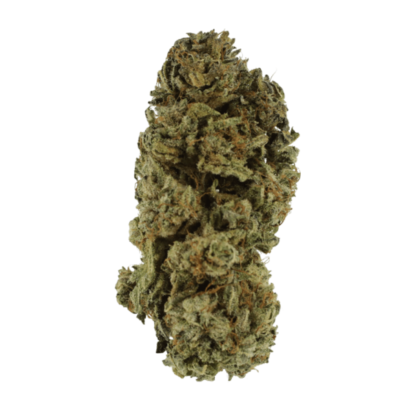 Black Kush – 1 ounce | CannaBlossom Canada