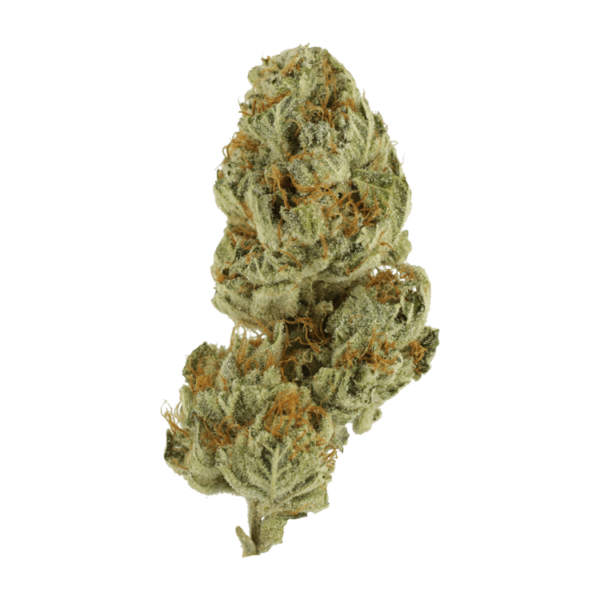Strawberry Glue | CannaBlossom Canada