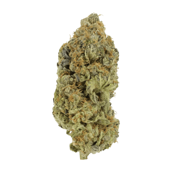 Critical Widow | CannaBlossom Canada
