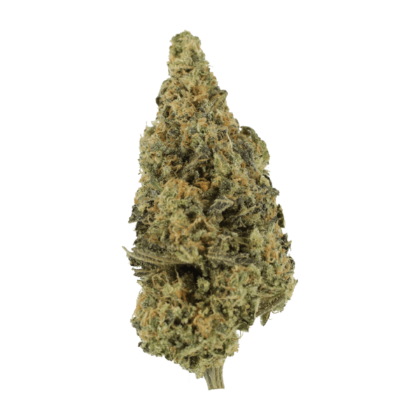 Lava Fuel | CannaBlossom Canada