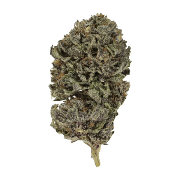 Purple Skunk | CannaBlossom Canada