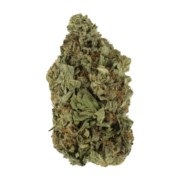 Shishkaberry | CannaBlossom Canada