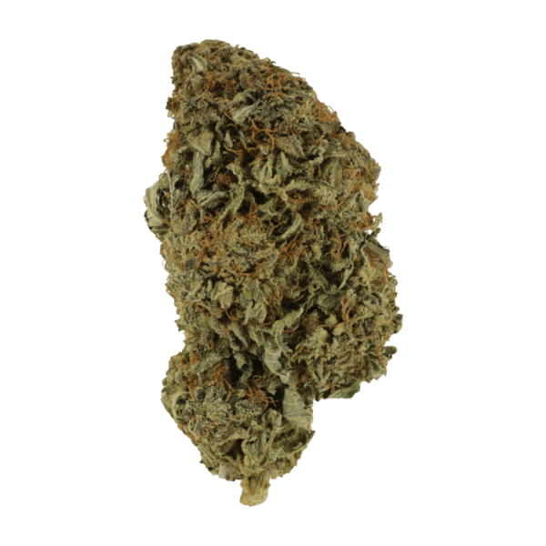 Sirius Black – 1 ounce | CannaBlossom Canada