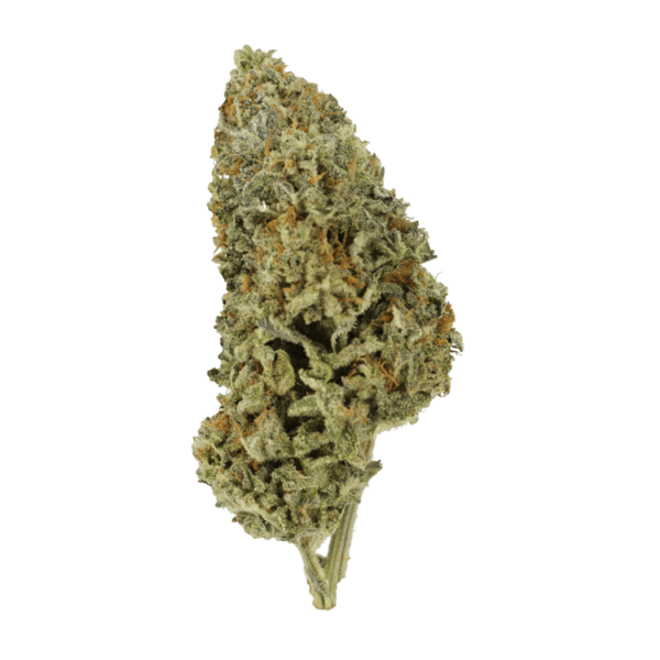 Super Silver Sour Diesel | CannaBlossom Canada