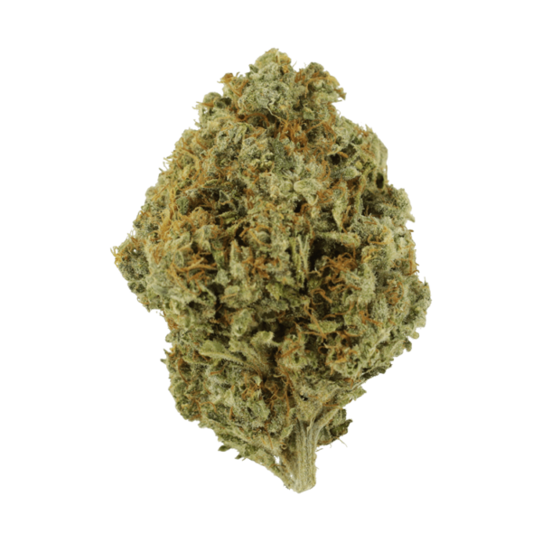 Orange Barb | CannaBlossom Canada