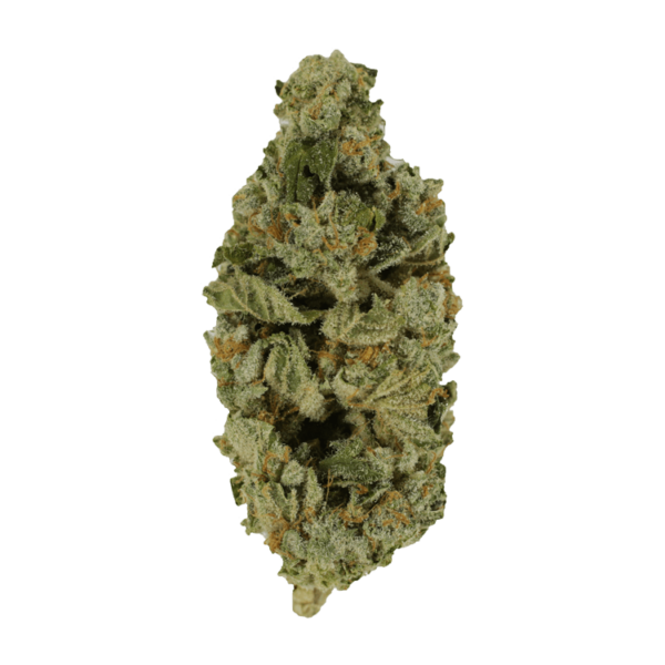 Crazy Glue | CannaBlossom Canada