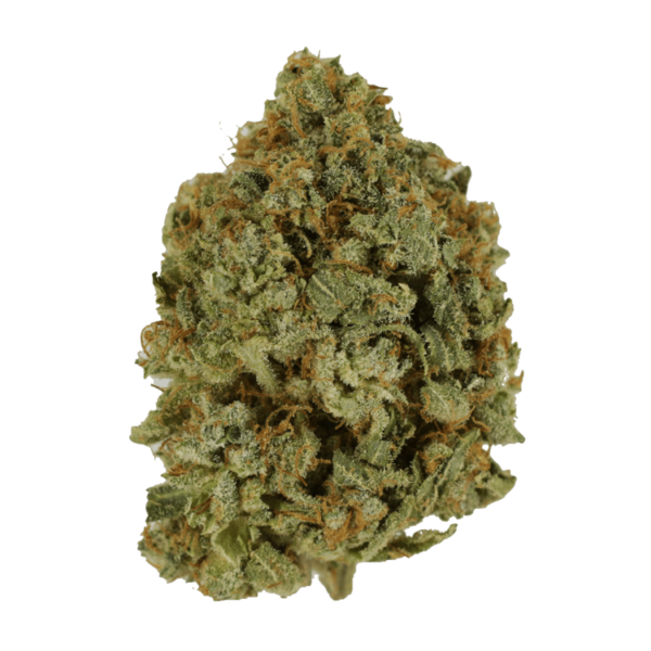 Crazy Glue | CannaBlossom Canada
