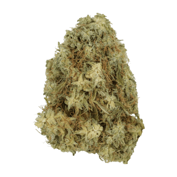 Hawaiian Snow | CannaBlossom Canada